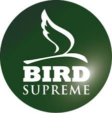 bird supreme logo