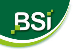 bsi logo