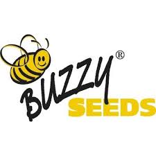 buzzy logo